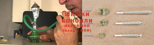 ГАЛЛЮЦИНОГЕННЫЕ ГРИБЫ Белокуриха