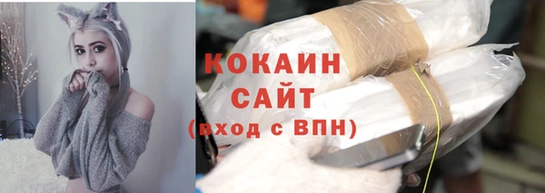 ГАЛЛЮЦИНОГЕННЫЕ ГРИБЫ Белокуриха