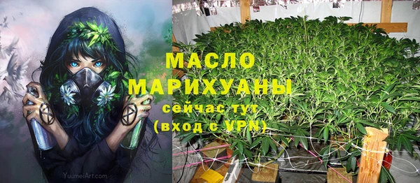 ГАЛЛЮЦИНОГЕННЫЕ ГРИБЫ Белокуриха