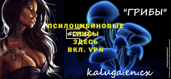 ГАЛЛЮЦИНОГЕННЫЕ ГРИБЫ Белокуриха