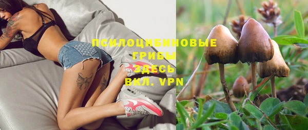ГАЛЛЮЦИНОГЕННЫЕ ГРИБЫ Белокуриха